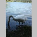 2013-07-07 - 11-55-42.JPG